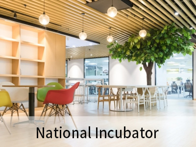 National Incubator